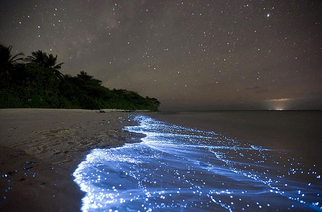 La plage bioluminescente de l’île de Vaadhoo, Maldives